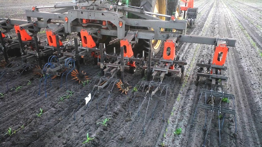 Artec Leo3D扫描仪在农业上的应用04.jpg